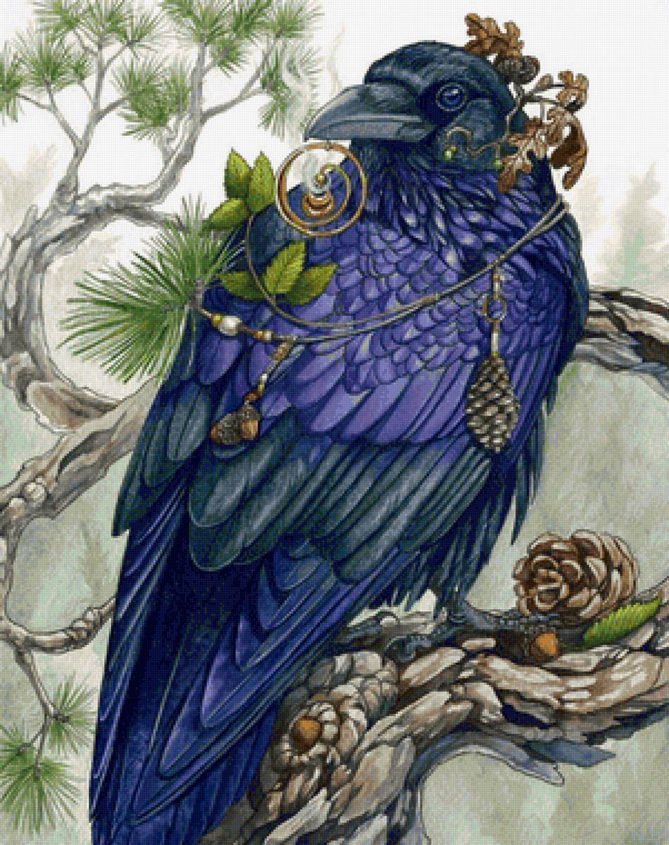 Corvo. - pássaro. - предпросмотр