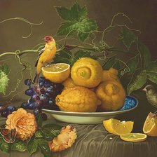 Схема вышивки «Pássaro e frutas.»