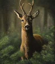 Схема вышивки «corzo»