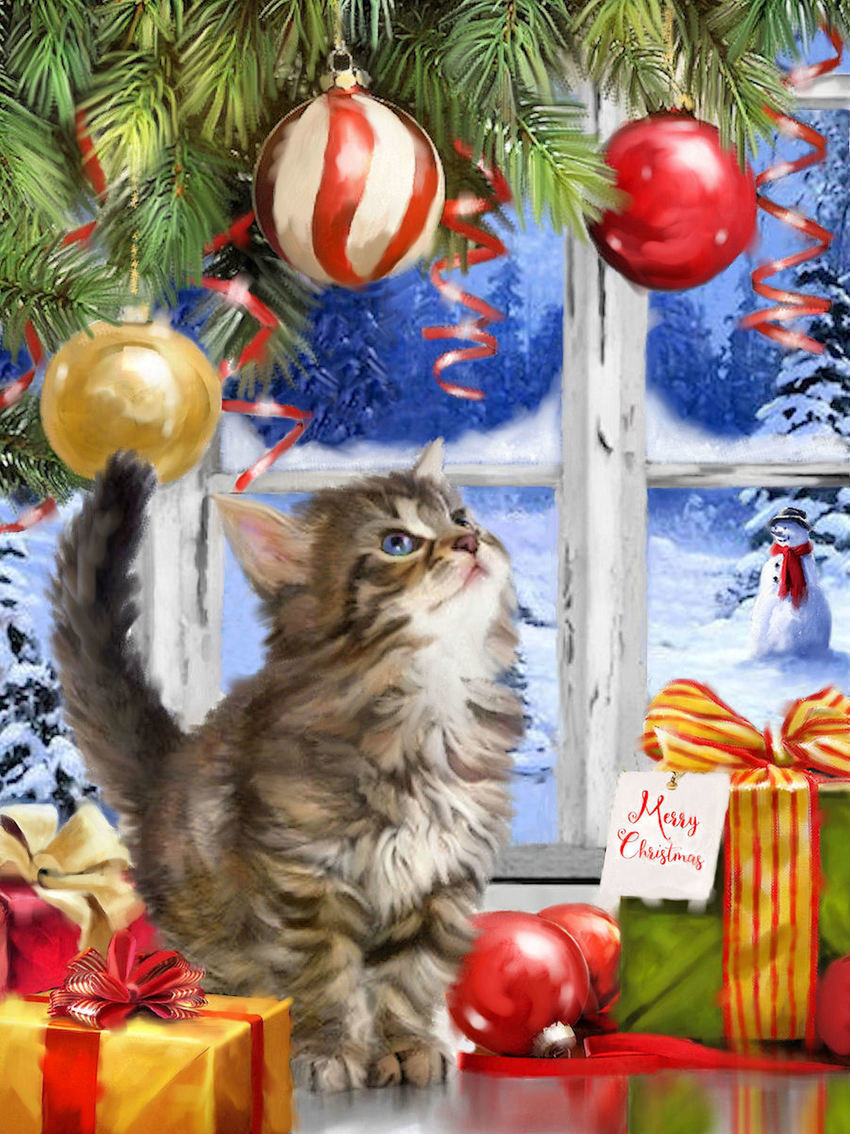 Gato en la ventana - navideño - оригинал