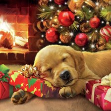 Схема вышивки «descanso 3»