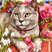 Схема вышивки «Gato.»