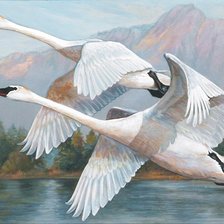 Схема вышивки «Pássaros.»