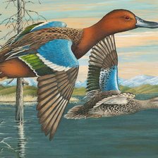 Схема вышивки «patos .»