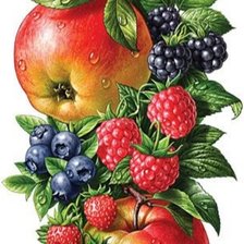 Фрукты
