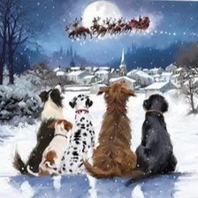 Схема вышивки «AMIGOS8»