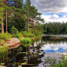 Схема вышивки «Нетронутый уголок природы.Эрик Ховряков»