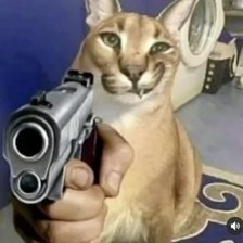 Схема вышивки «Шлепа кот»