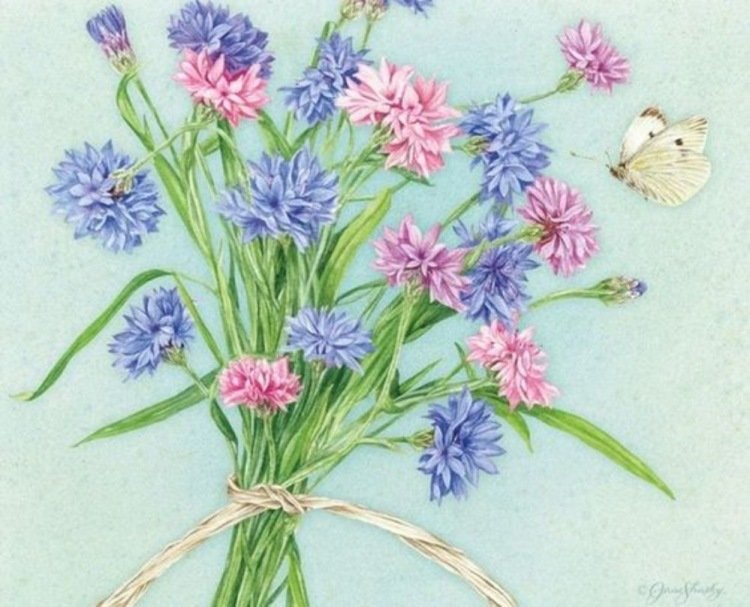 nežne kvety - оригинал