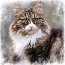 Схема вышивки «Gato.»