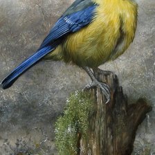 Схема вышивки «Птица»