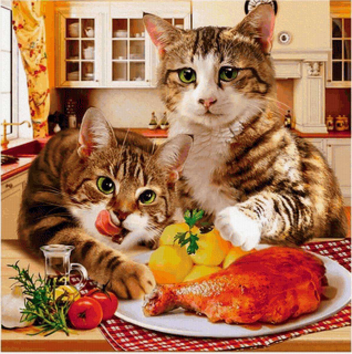 коты - предпросмотр