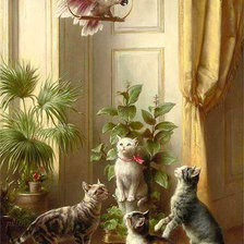 кошачья забава