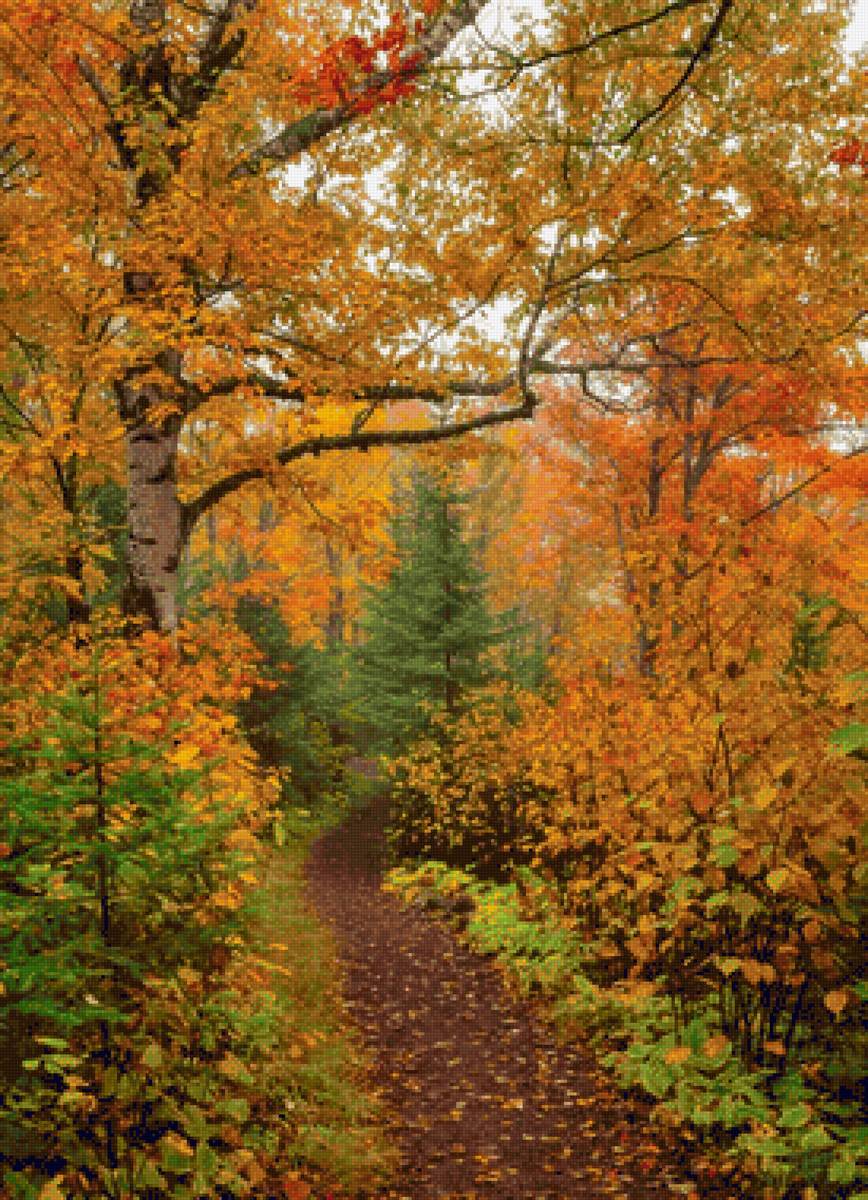 Paisagem de outono. - floresta.outono. - предпросмотр