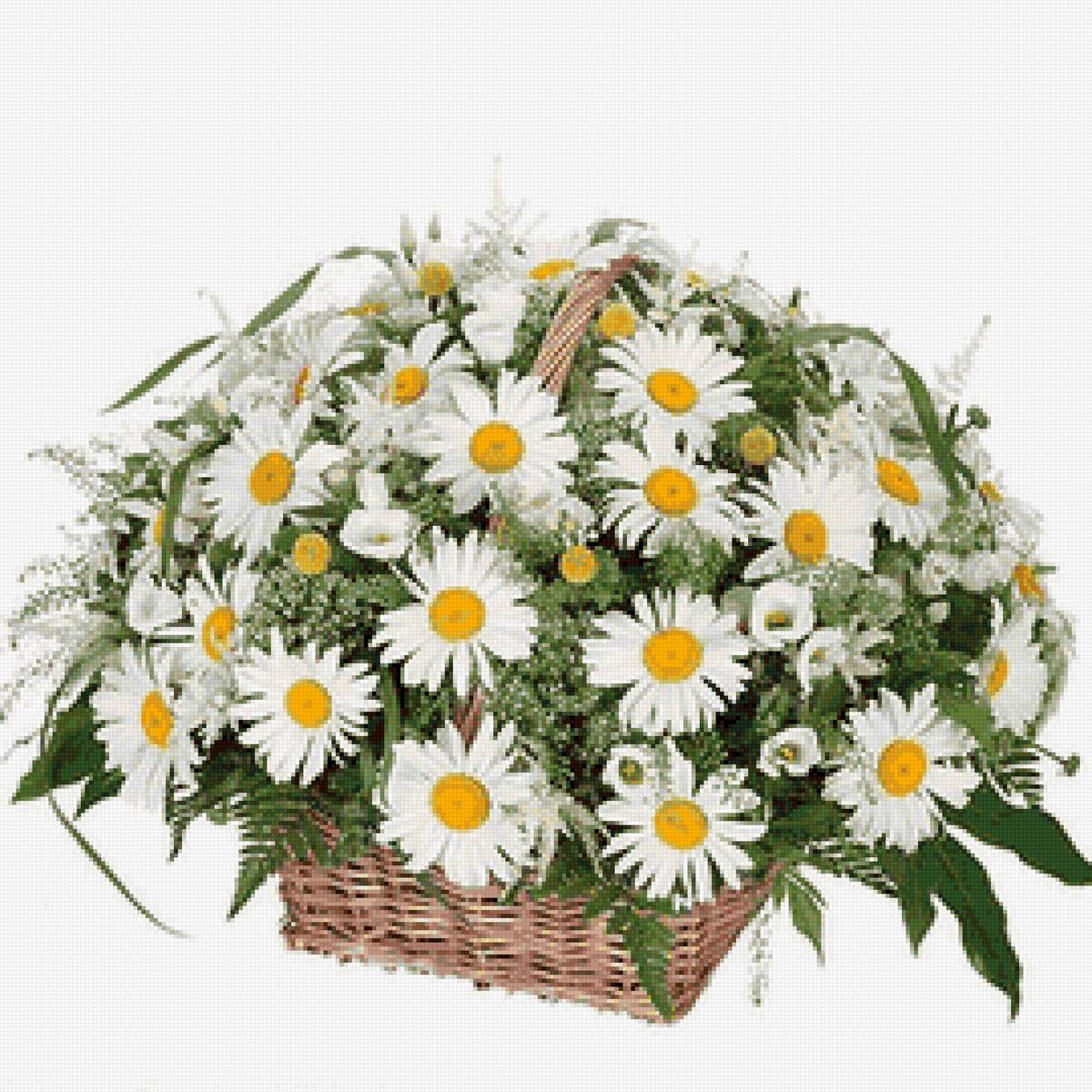 букет ромашек - предпросмотр
