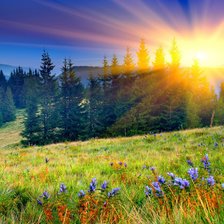 Схема вышивки «Рассвет»