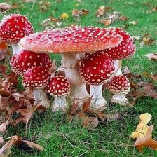 Схема вышивки «Cogumelo.»