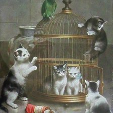 Схема вышивки «Bird cage»