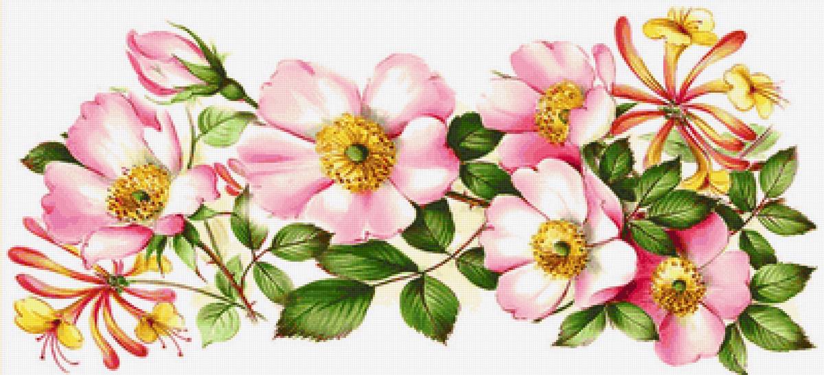 Шиповник - шиповник - предпросмотр