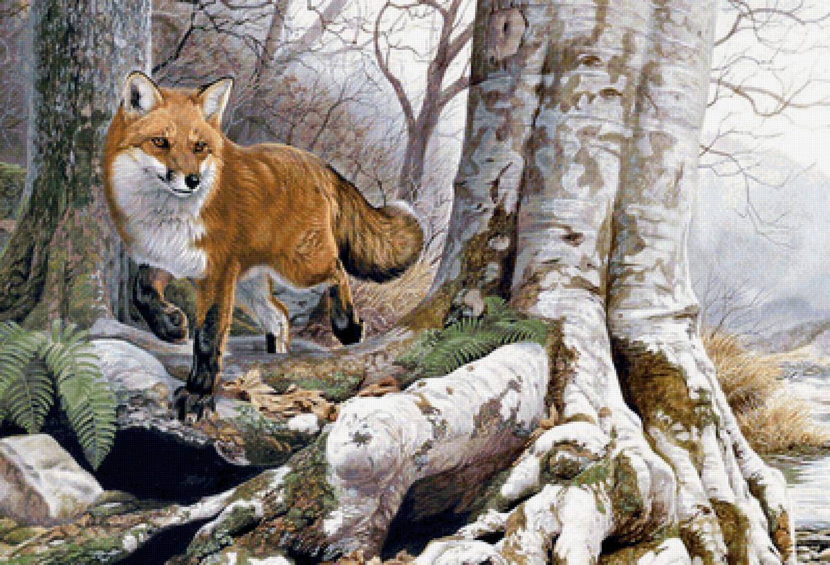 лиса - животные, лиса - предпросмотр