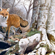 Схема вышивки «лиса»