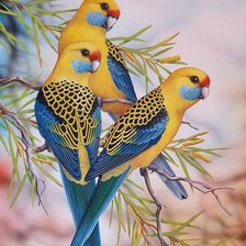 Схема вышивки «Đôi chim»