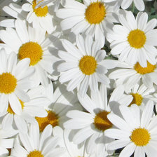 Схема вышивки «№2352497»