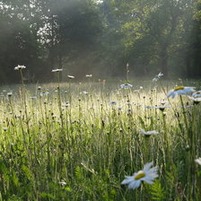 Схема вышивки «№2352576»
