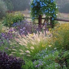 Схема вышивки «№2352585»