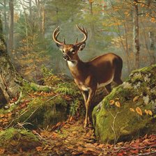 Схема вышивки «№2354057»