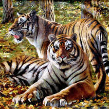 Схема вышивки «№2354110»