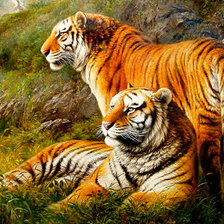 Схема вышивки «№2354133»