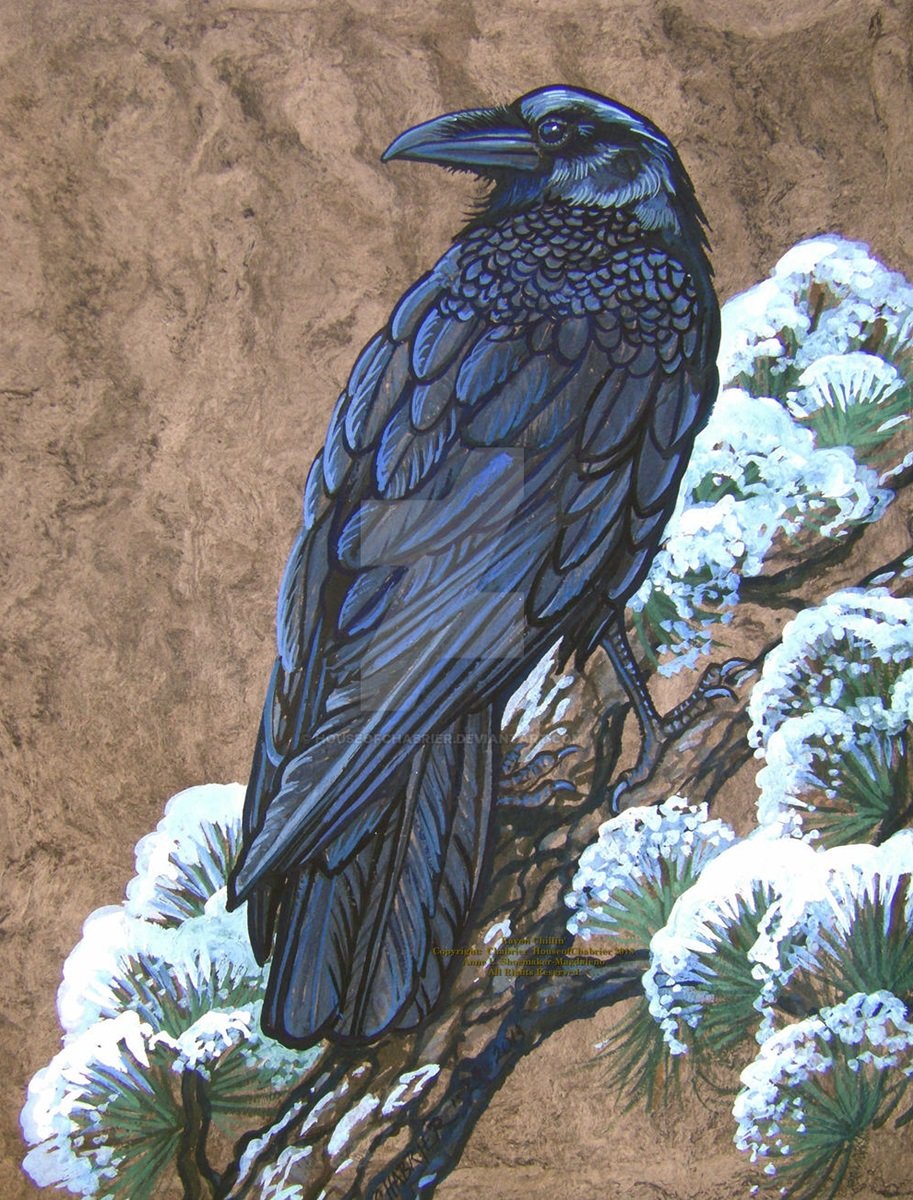 Corvo . - pássaros .flores. - оригинал