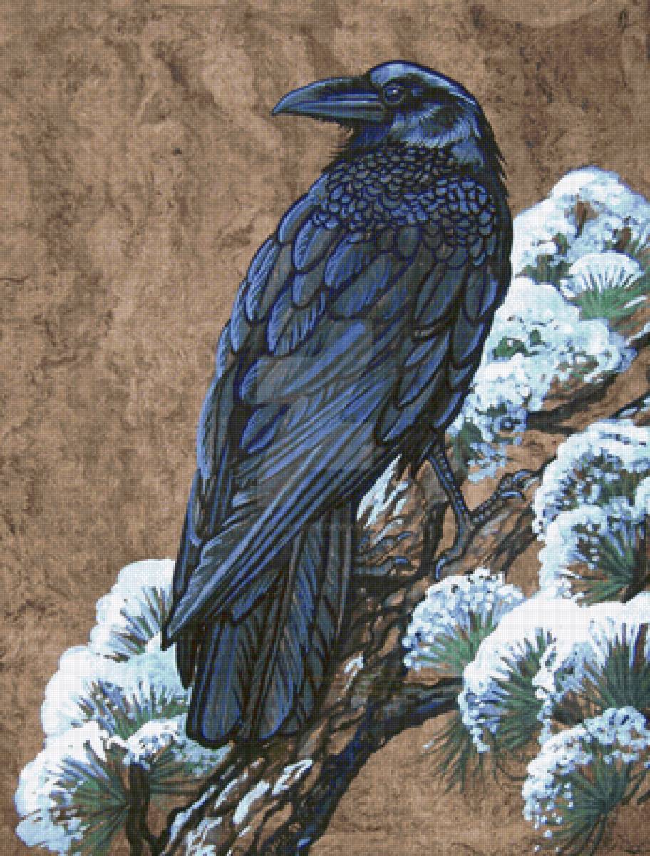 Corvo . - pássaros .flores. - предпросмотр