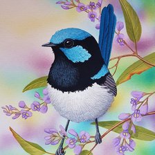 Схема вышивки «Pássaro.»