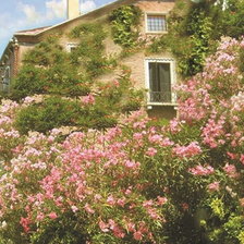 Схема вышивки «Венеция . схема№3 продолжение»