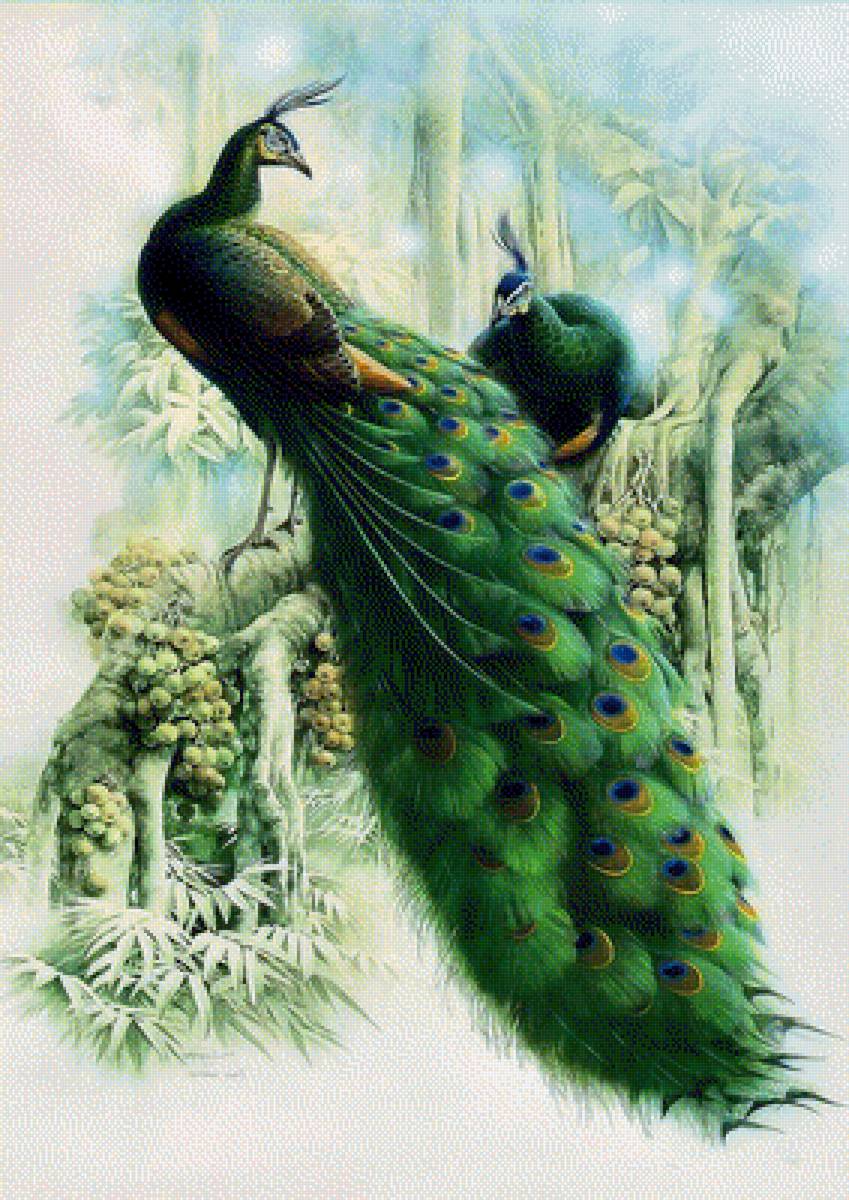 №2355153 - предпросмотр