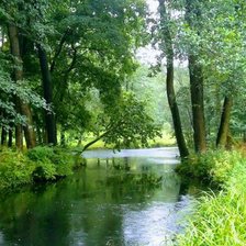 Схема вышивки «Зелень»