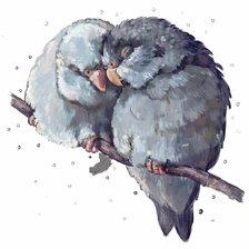 Схема вышивки «попугайчики»