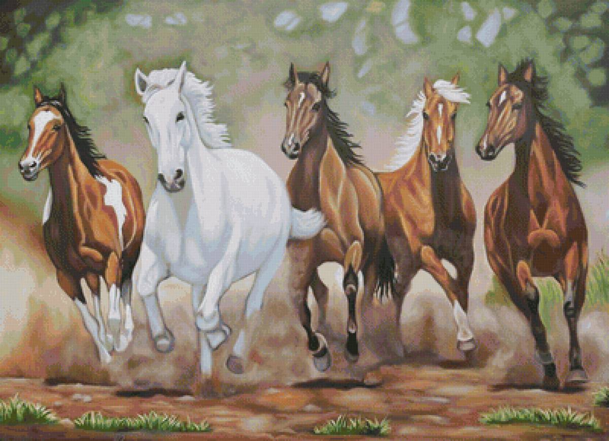 Табун - предпросмотр