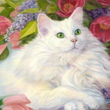 Схема вышивки «белая кошка»