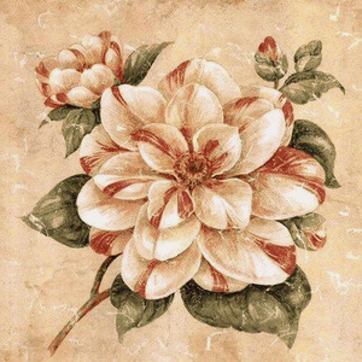 Цветок - цветок, квадрат. - предпросмотр