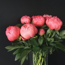 Схема вышивки «№2356845»