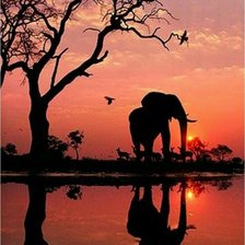 Схема вышивки «Africa»