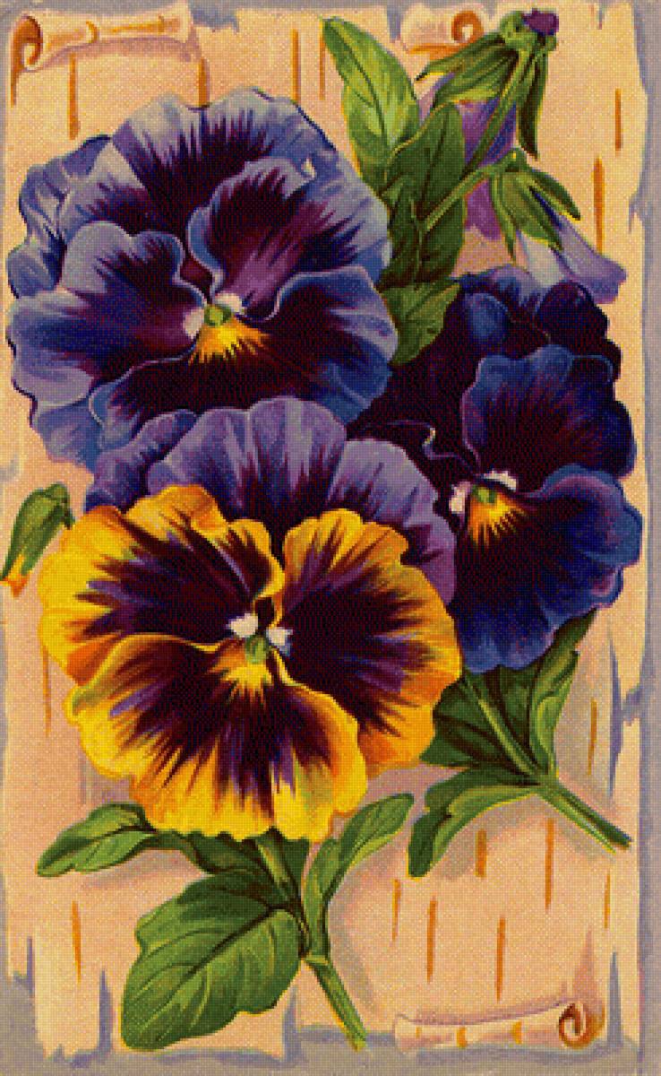 Анютины глазки - цветы, ретро., анютины глазки - предпросмотр