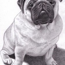 Схема вышивки «Мопс»