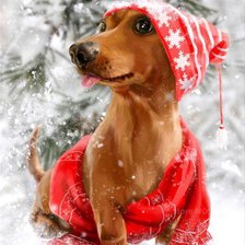 Новогодний песик