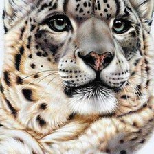 Схема вышивки «Ирбис»