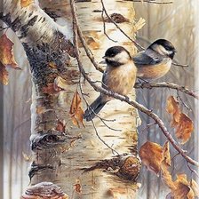 Схема вышивки «Птички»