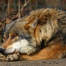 Схема вышивки «№2358047»